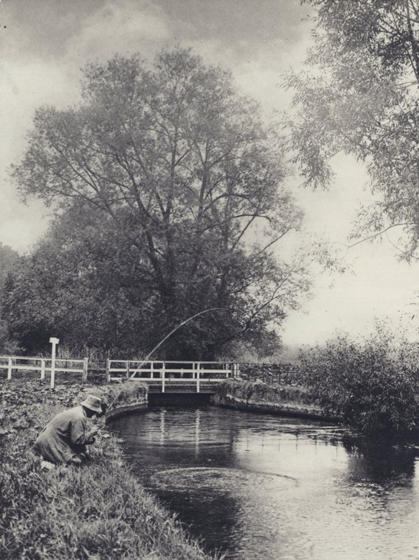 Den sidste kamp (s/h-foto) af Edward Alfred Barton