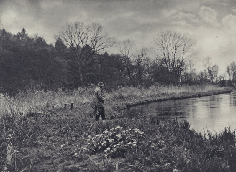 Forårets første kongekroner (s/h-foto) af Edward Alfred Barton