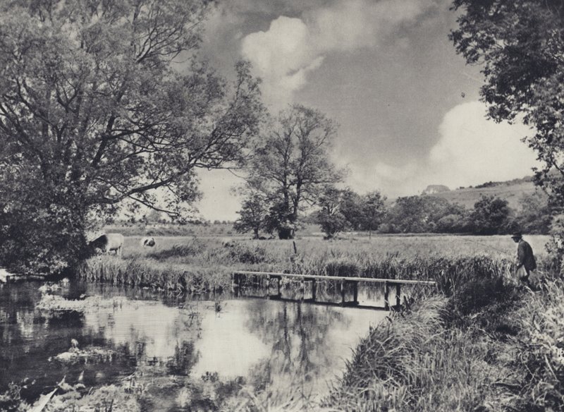 Vandenge i den nedre del af Itchen (s/h-foto) af Edward Alfred Barton