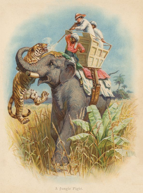En junglekamp (farvelitografi) af Edward Brice Montefiore