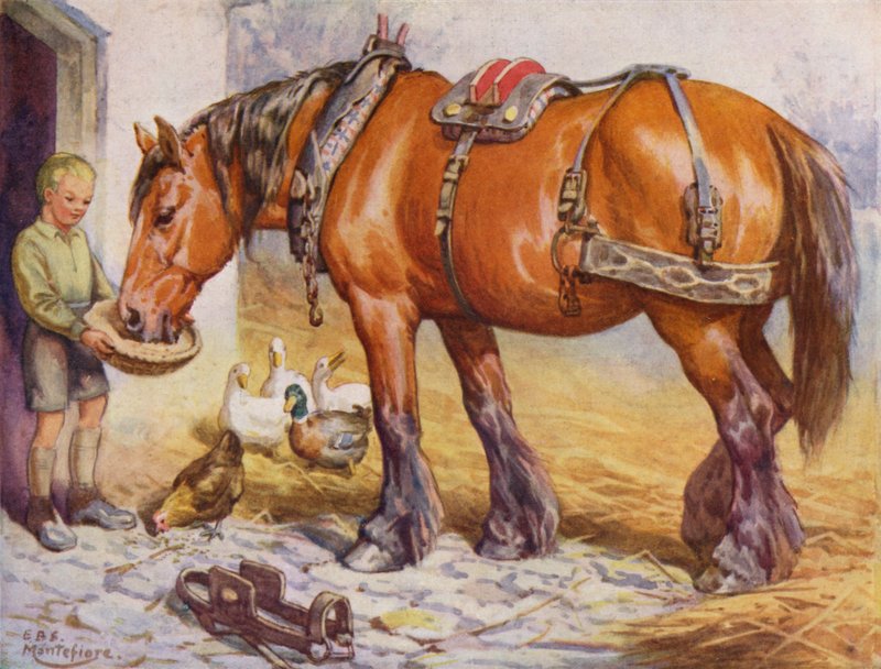 Dreng fodrer en hest i en gård (farve litho) af Edward Brice Montefiore