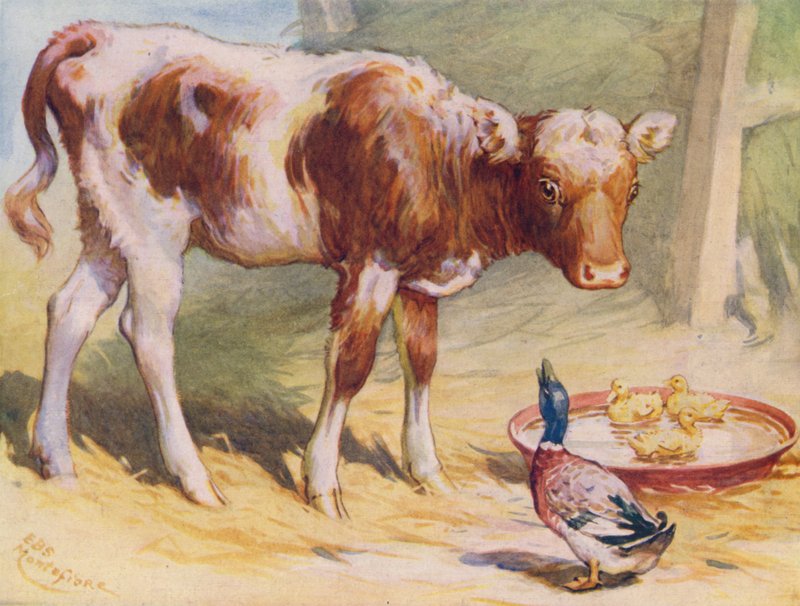 Kalv og ænder (farve litho) af Edward Brice Montefiore