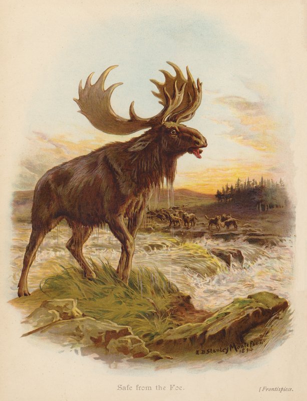 I sikkerhed for fjenden (farvelitografi) af Edward Brice Montefiore
