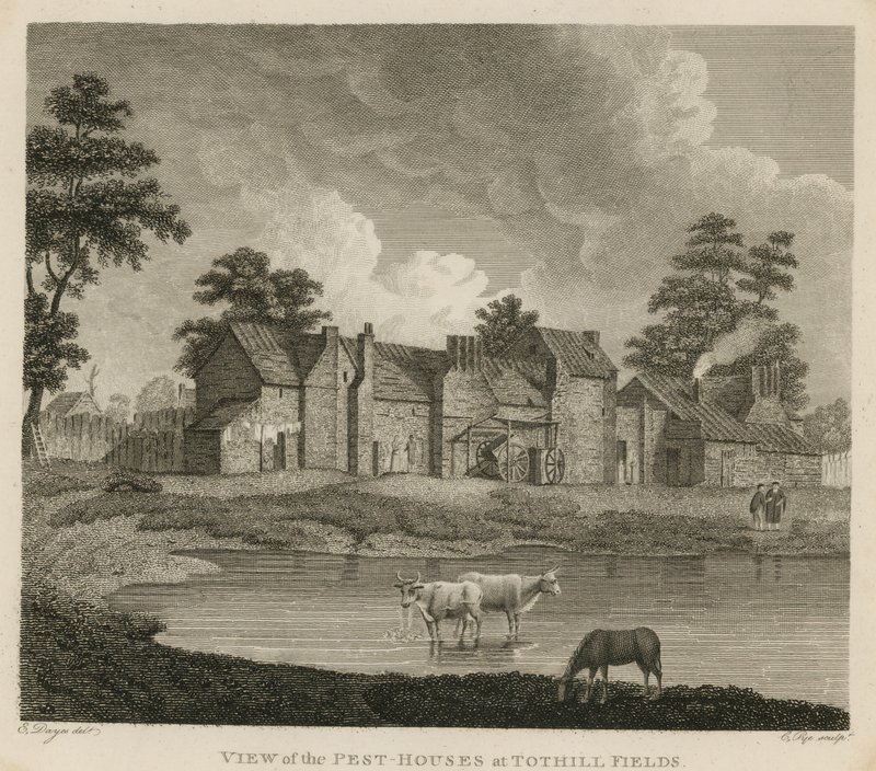 Udsigt over skadedyrshusene ved Tothill Fields, London af Edward Dayes