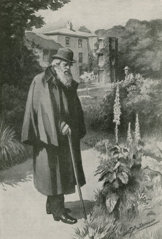 Charles Darwin i sin have ved Down House (litho) af Edward Frederick Skinner
