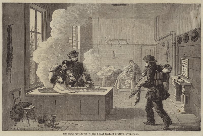 The Receiving-House of the Royal Humane Society, Hyde Park af Edward Hull