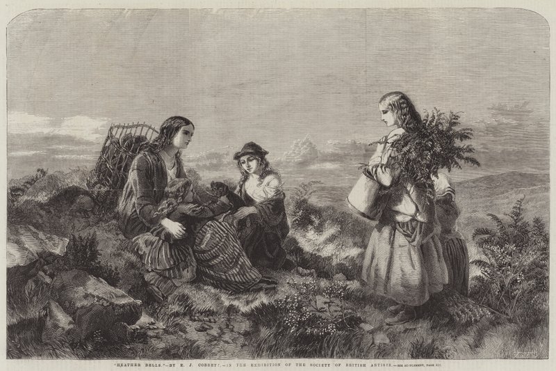 Heather Bells af Edward John Cobbett