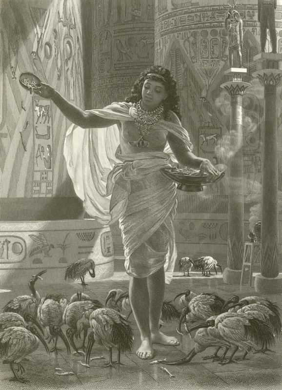 Fodring af den hellige ibis i Karnacs haller af Edward John Poynter