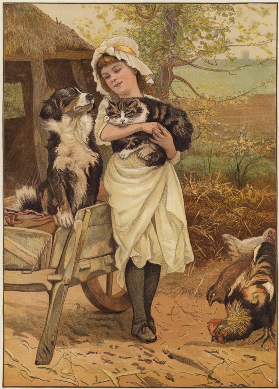 Rivalerne af Edward Killingworth Johnson