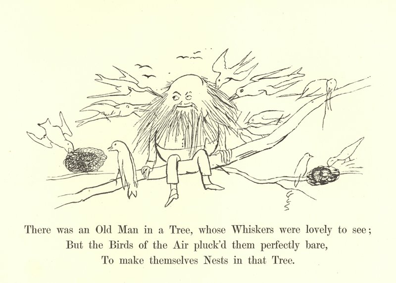 Der var en gammel mand i et træ, hvis knurhår var dejlige at se af Edward Lear