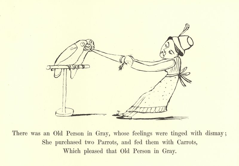 Der var en gammel person i gråt, hvis følelser var præget af forfærdelse af Edward Lear