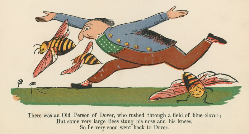 There was an Old Person of Dover, who rushed through a field of blue clover, fra 