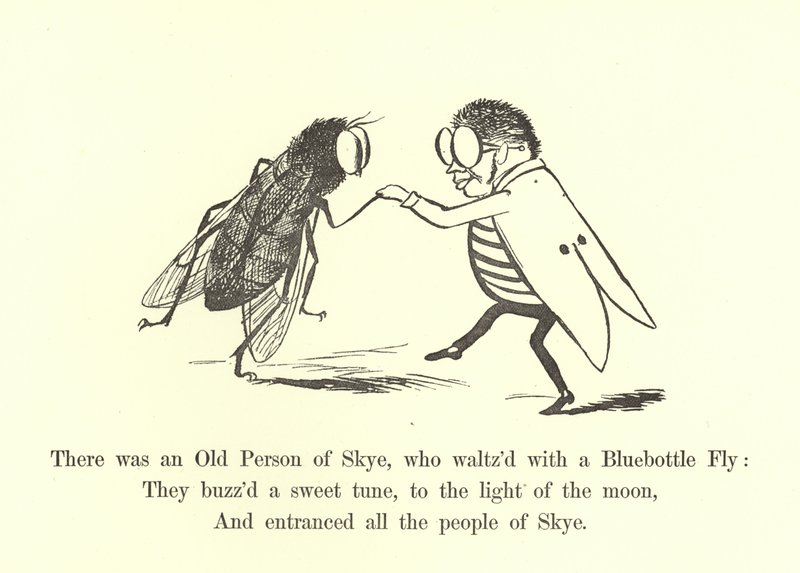 Der var en gammel person fra Skye, som valsede med en blåflaskeflue af Edward Lear