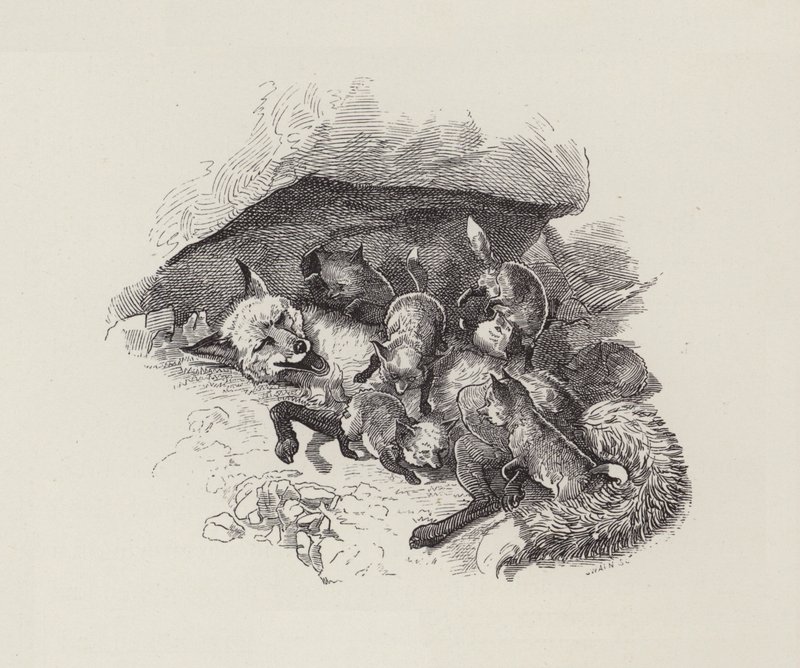 Illustration til The Water-Babies af Charles Kingsley (gravering) af Edward Linley (after) Sambourne
