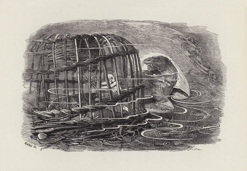Illustration til The Water-Babies af Charles Kingsley (gravering) af Edward Linley (after) Sambourne