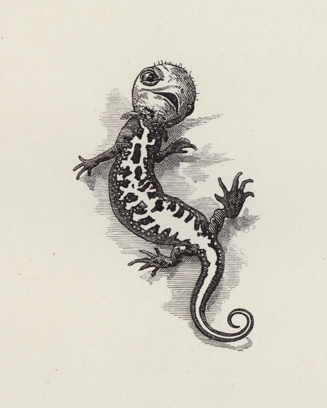Illustration til The Water-Babies af Charles Kingsley (gravering) af Edward Linley (after) Sambourne