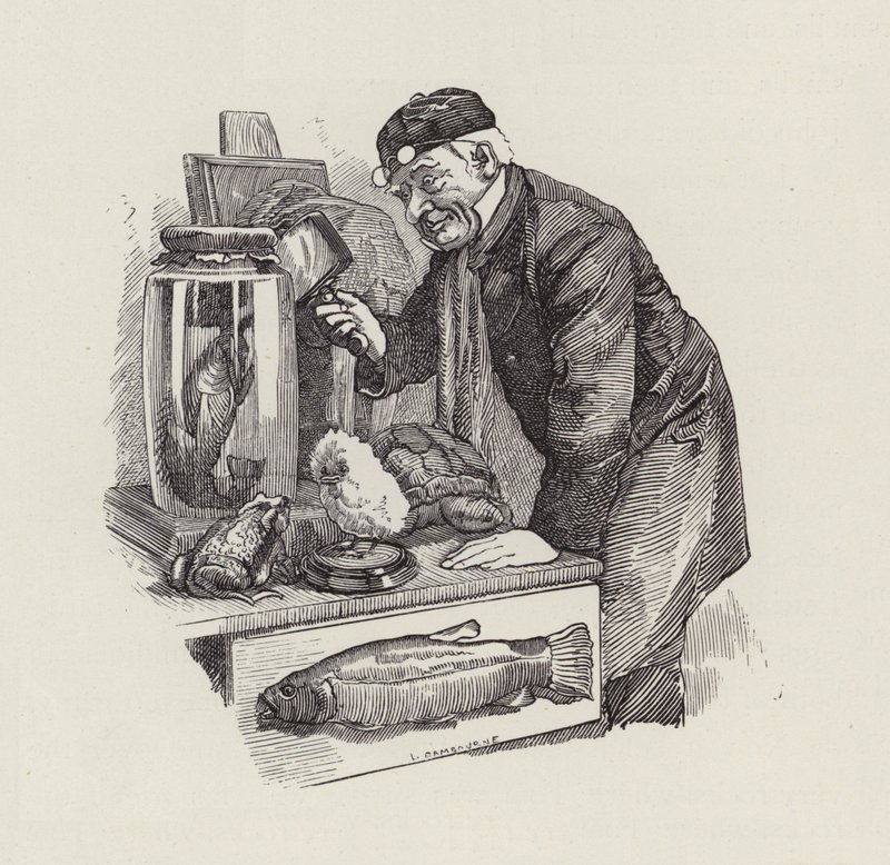 Illustration til The Water-Babies af Charles Kingsley (gravering) af Edward Linley (after) Sambourne
