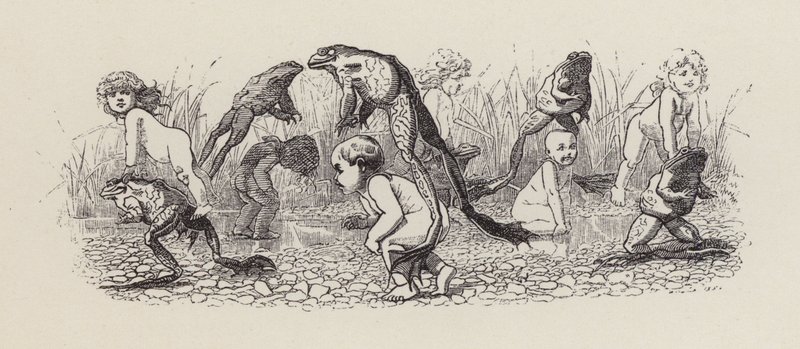 Illustration til The Water-Babies af Charles Kingsley (gravering) af Edward Linley (after) Sambourne