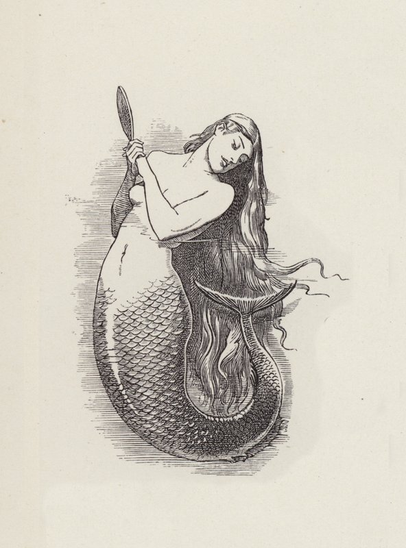 Illustration til The Water-Babies af Charles Kingsley (gravering) af Edward Linley (after) Sambourne