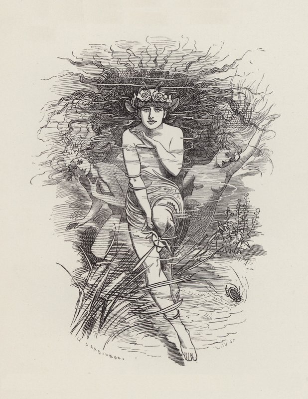 Illustration til The Water-Babies af Charles Kingsley (gravering) af Edward Linley (after) Sambourne