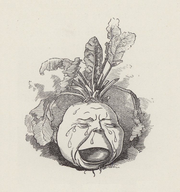 Illustration til The Water-Babies af Charles Kingsley (gravering) af Edward Linley (after) Sambourne