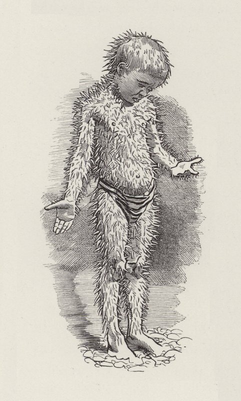 Illustration til The Water-Babies af Charles Kingsley (gravering) af Edward Linley (after) Sambourne