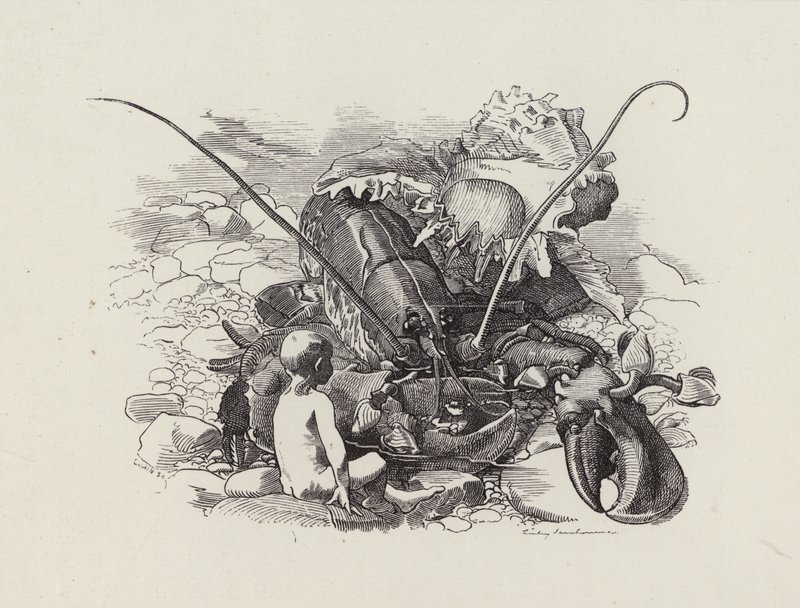 Illustration til The Water-Babies af Charles Kingsley (gravering) af Edward Linley (after) Sambourne