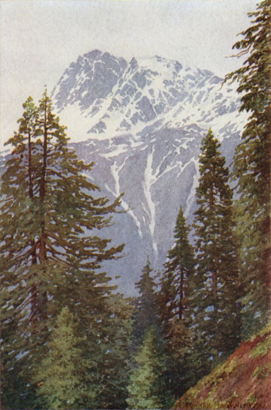 Kotwal fra skoven over Kangan, Sind-dalen af Edward Mary Joseph Molyneux