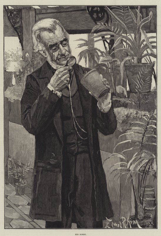 Hans hobby af Edward R. King