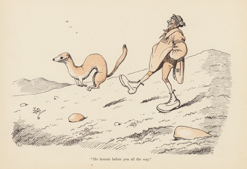 Tails with a Twist: The Weaser (farve litho) af Edward Tennyson Reed