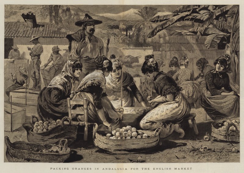 Pakning af appelsiner i Andalusien til det engelske marked af Edwin Buckman