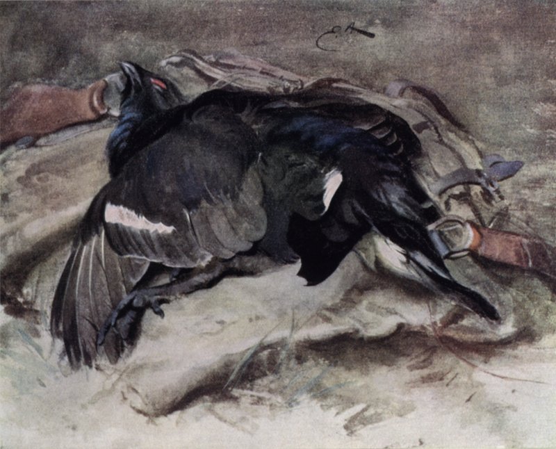 Blackcock af Edwin John Alexander