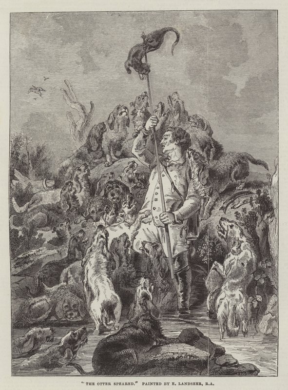Odderen spiddede af Edwin Landseer