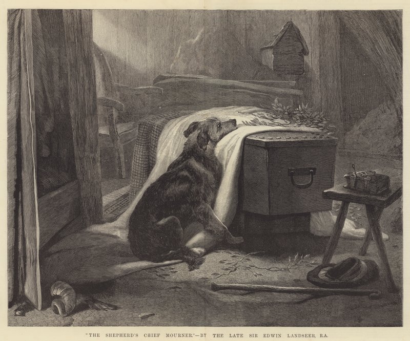 Hyrdens hovedsørgende af Edwin Landseer