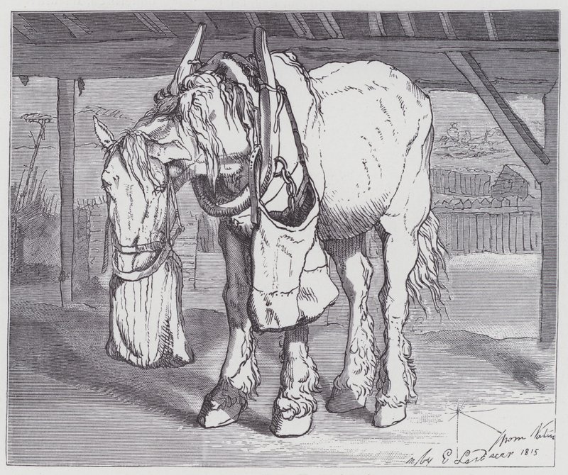 En vognhest af Edwin (after) Landseer