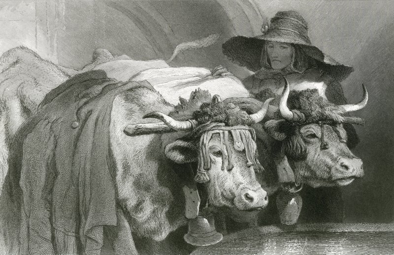 Okser ved tanken, Genève (gravering) af Edwin (after) Landseer