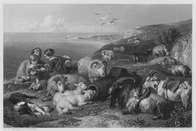 Fred, fra billedet i Vernon Gallery (gravering) af Edwin (after) Landseer