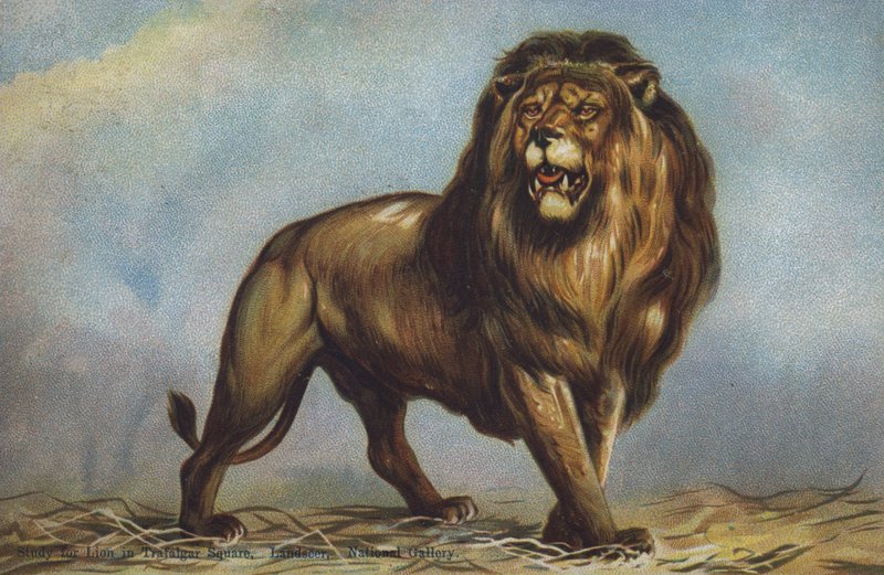 Undersøgelse for løve på Trafalgar Square af Landseer, National Gallery, London (farve litho) af Edwin (after) Landseer
