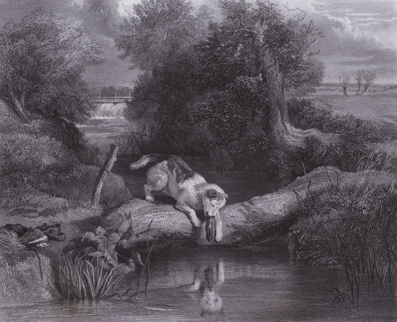 Hunden og skyggen (gravering) af Edwin (after) Landseer