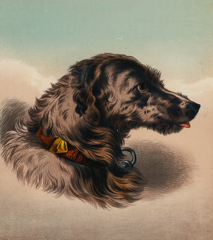Hjortehunden () (farvelitografi) af Edwin (after) Landseer