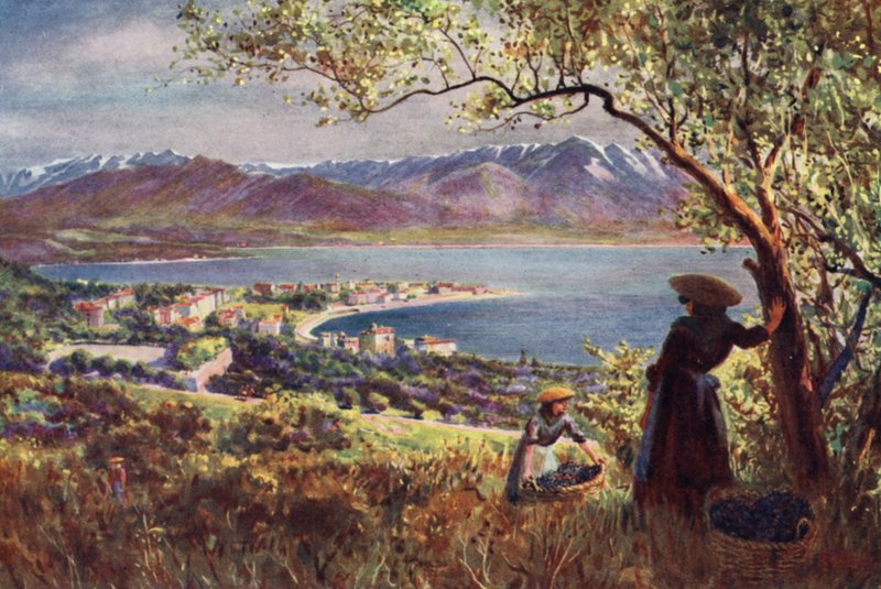 Korsika: Generelt billede af Ajaccio (farvefoto) af Edwin Arthur Norbury
