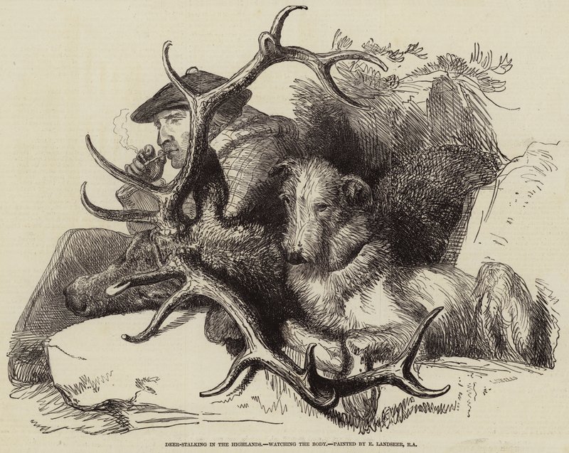 Deer-stalking i højlandet, ser på kroppen af Edwin Landseer