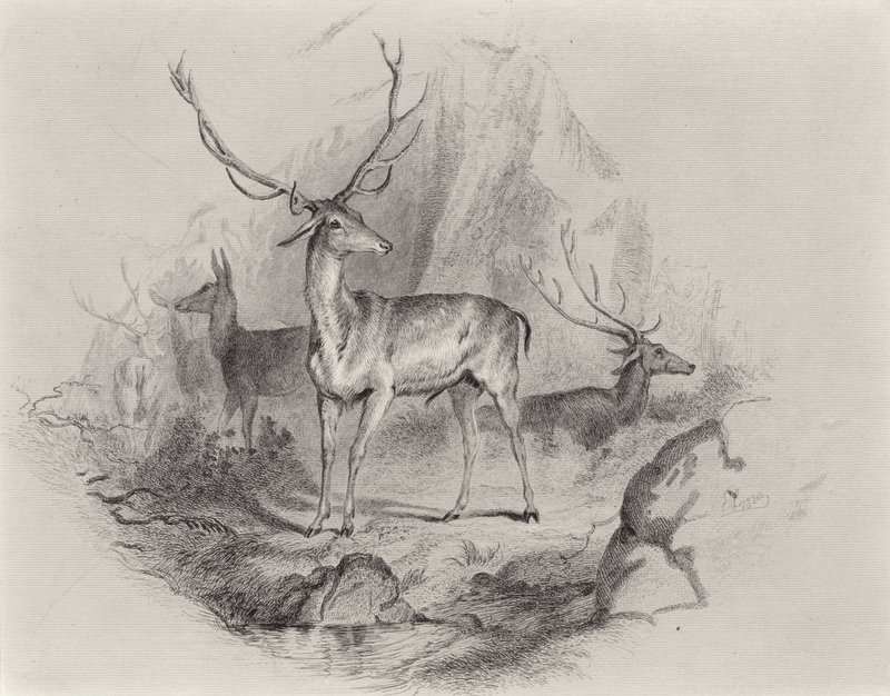 I Glen af Edwin Landseer