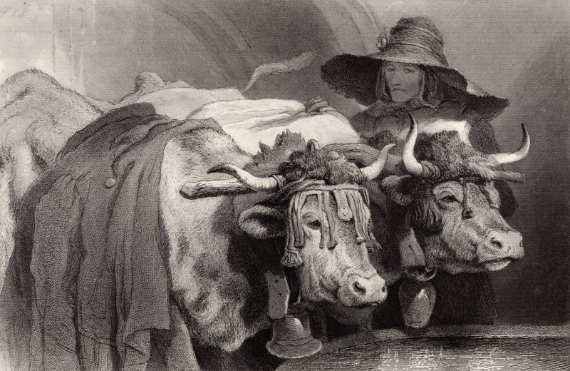Okser ved tanken, Genève, Schweiz af Edwin Landseer