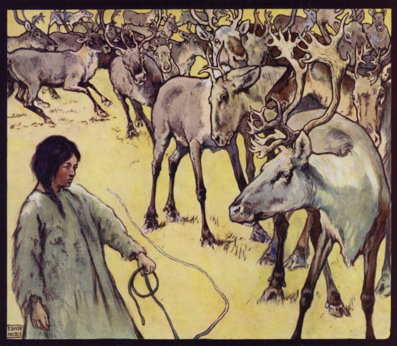 En lappepige med rensdyrflok (farve litho) af Edwin Noble