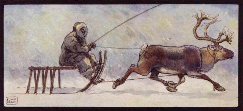 En lappe- og rensdyrslæde (farve litho) af Edwin Noble