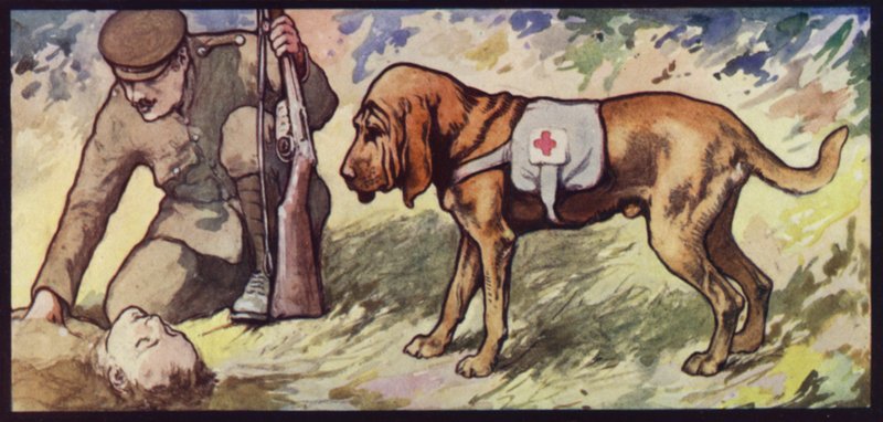 Ambulance Bloodhound af Edwin Noble
