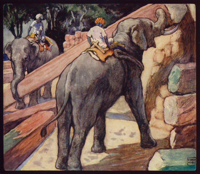 Elefanter hober sig teak (farve litho) af Edwin Noble