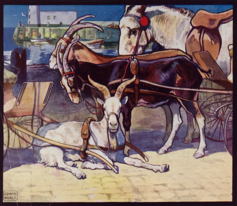 Gedevogne (farve litho) af Edwin Noble