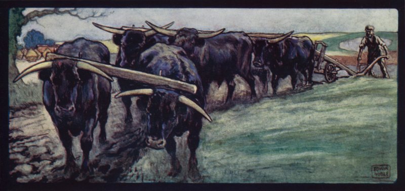 Okser pløjer på Sussex Downs (farve litho) af Edwin Noble
